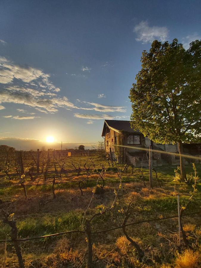 Izletiste Opatovac Casa de hóspedes Exterior foto