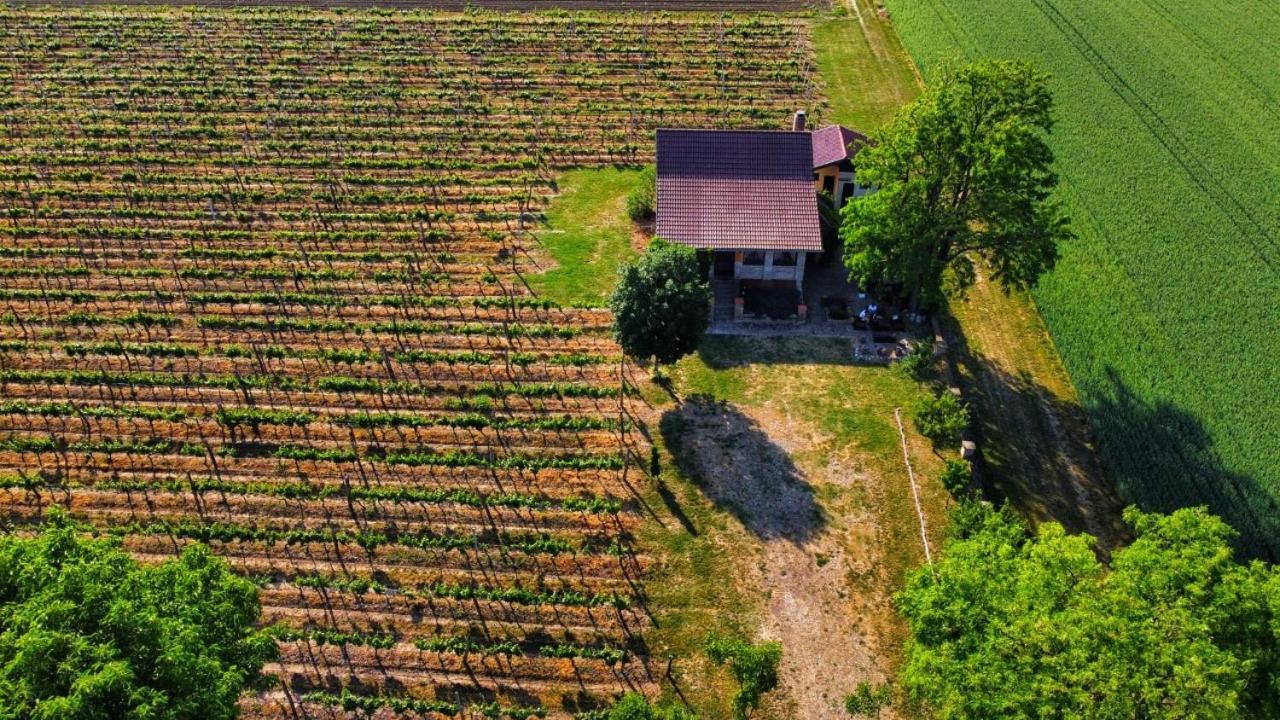 Izletiste Opatovac Casa de hóspedes Exterior foto